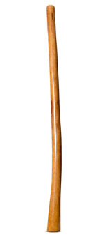 Gloss Finish Flared Didgeridoo (TW1437)